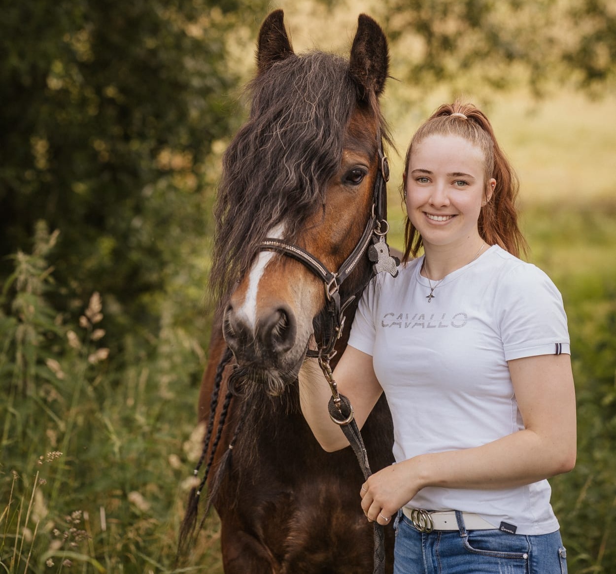 Portrait Fair-Horsetraining